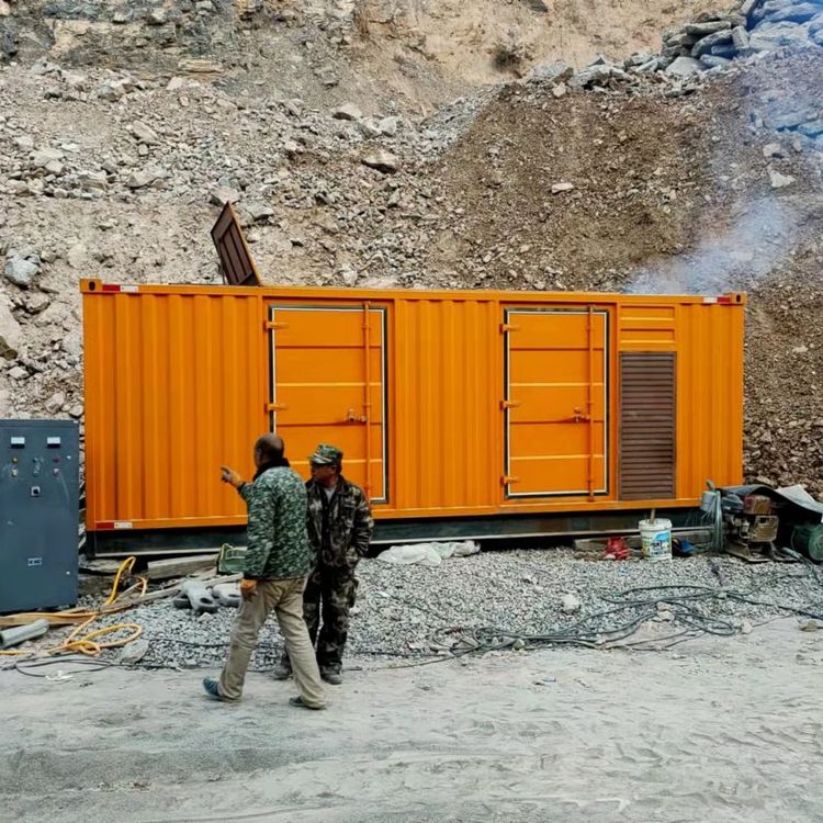 多文镇如何选择适合自己的 800KW 柴油发电机组?